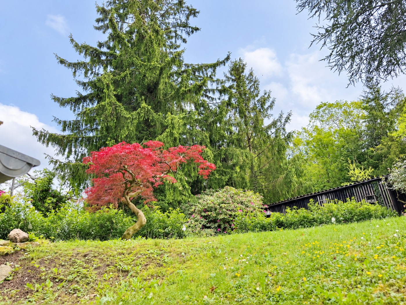Apartment am Waldrand in Freiburg – Innenansicht 50 von 52