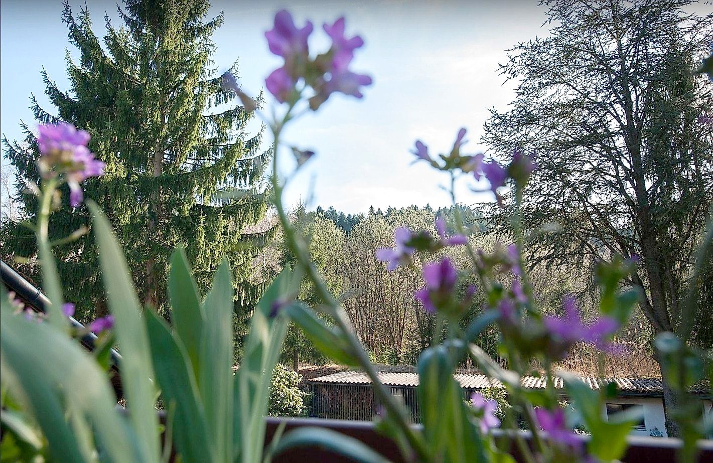 Apartment Waldrand II in Freiburg – Innenansicht 20 von 23